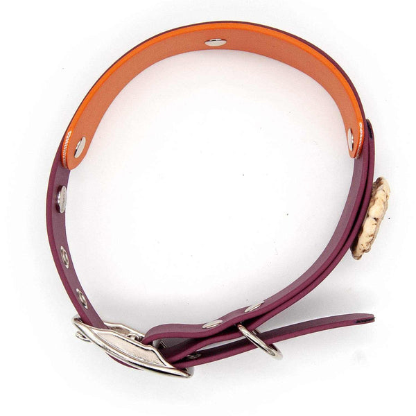 Halsband BioThane® | Schnalle | Twilight