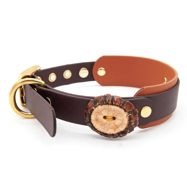 Halsband BioThane® | Schnalle | Chestnut