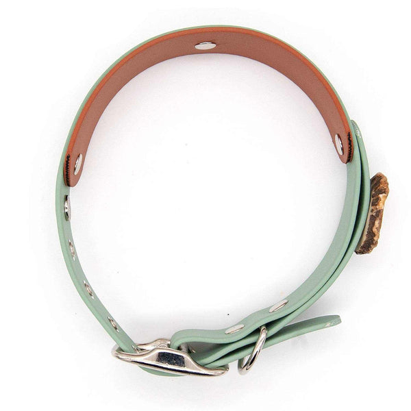 Halsband BioThane® | Schnalle | Rustic Sage