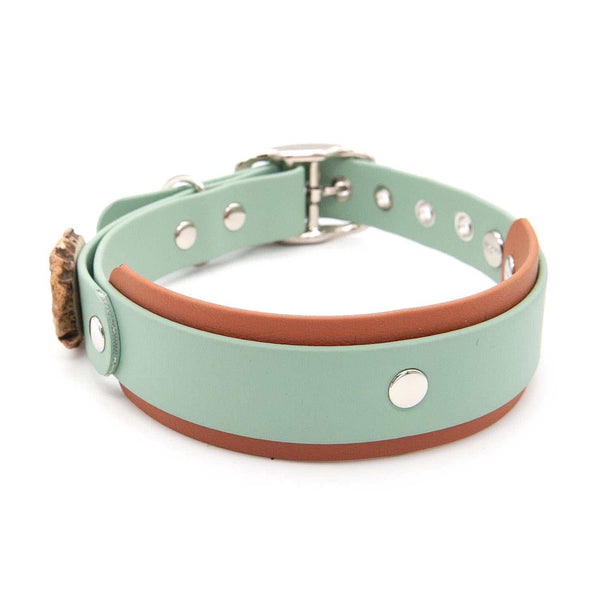 Halsband BioThane® | Schnalle | Rustic Sage