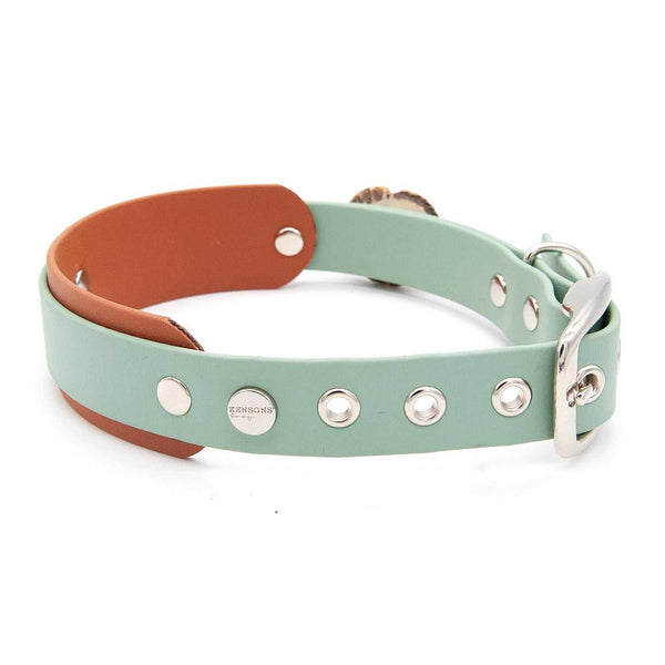 Collar BioThane® | Buckle | 25 / 38 mm wide | design yourself