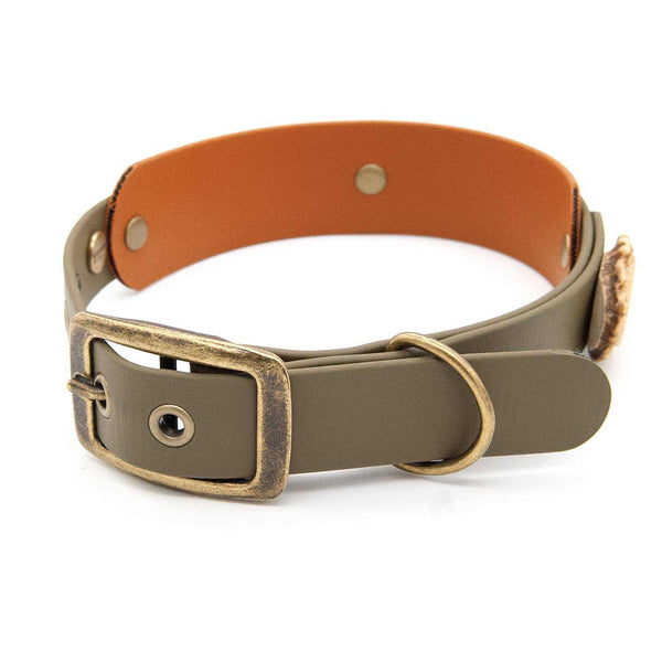 Collar BioThane® | Buckle | 25 / 38 mm wide | design yourself