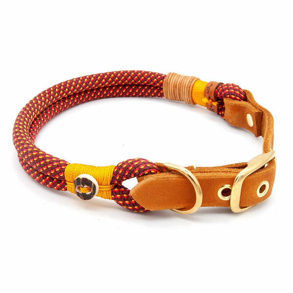 Exklusives 10 mm Hundehalsband Golden Fireball aus Tau mit verstellbarer Schnalle, edel und einzigartig