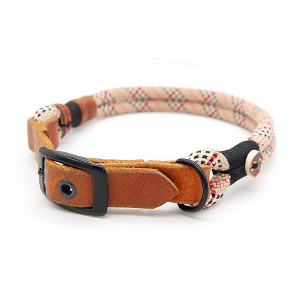 Exklusives 10 mm Hundehalsband Highland Houndstooth aus Tau mit verstellbarer Schnalle, edel und einzigartig