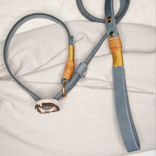 Retriever leash LEATHER | 20 mm | design yourself