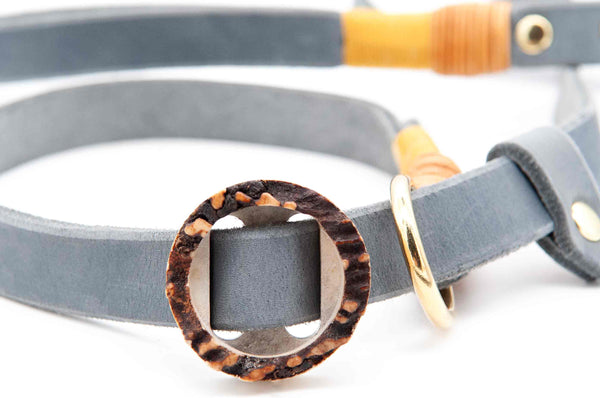 Retriever leash LEATHER | 20 mm | design yourself