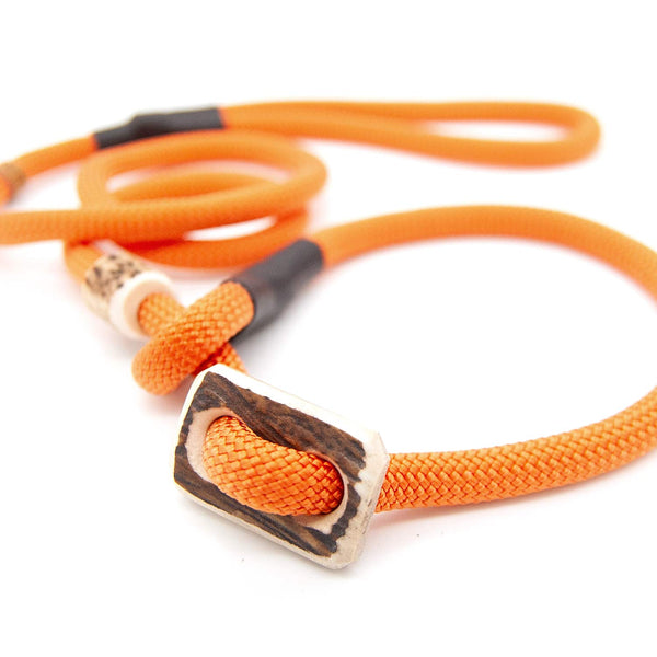 Retriever leash 10 mm Sporty | Pumpkins