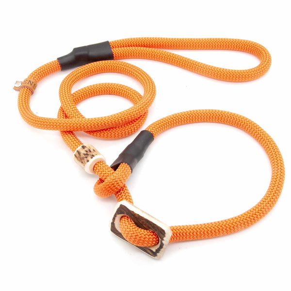 Retriever leash 10 mm Sporty | Pumpkins