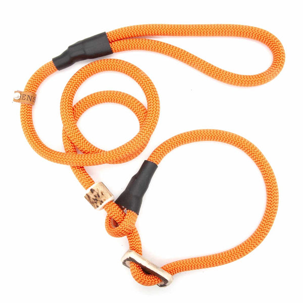 Retriever leash 10 mm Sporty | Pumpkins