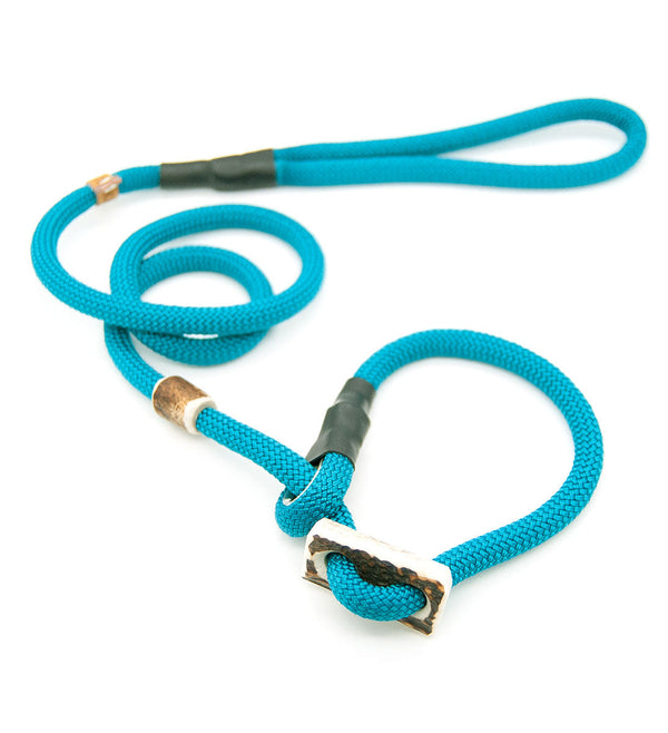 Retrieverleine 10 mm in Aqua mit Hirschhorn-Stopper, handgefertigte Moxon-Leine für Hunde