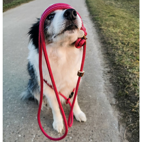 Umhängeleine / Jagdleine 'Hands-Free' | 10mm | Sporty - KENSONS for dogs